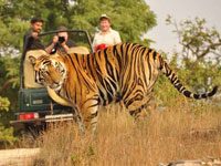 agra-packages
