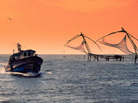 voyage Cochin Periyar au inde du sud