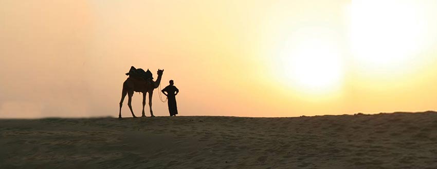 Spécialiste pour organiser des voyages Rajasthan