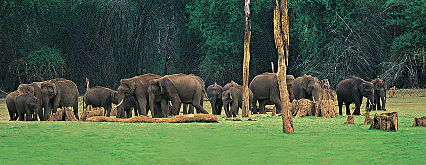 agra-taj-mehal