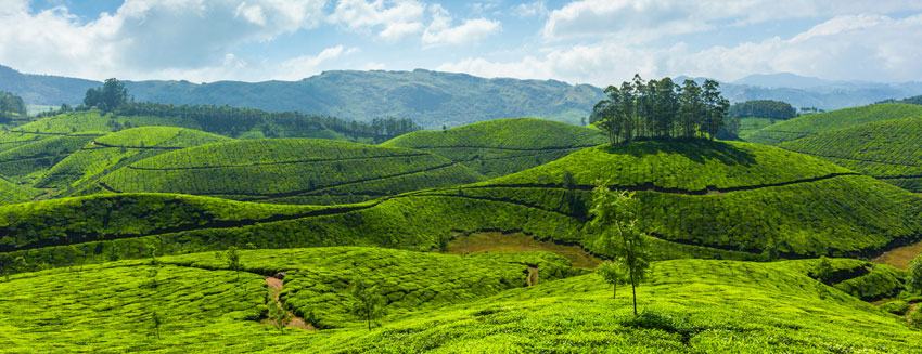 kerela1