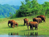 voyage Madurai Periyar au inde du sud
