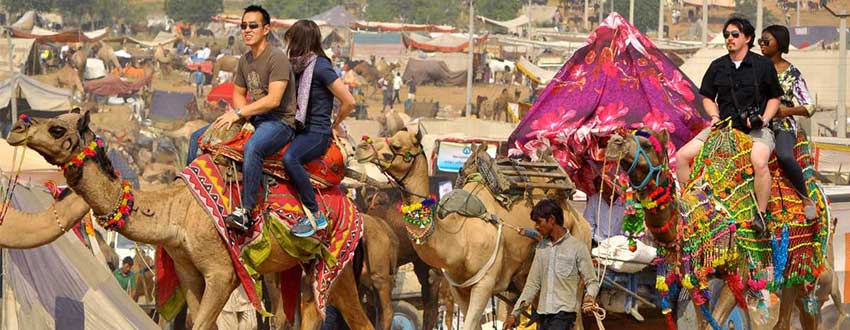 circuit rajasthan en 10 jours