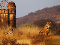 junagarh-bikaner