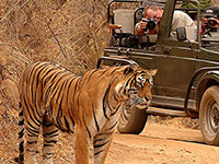 delhi packages