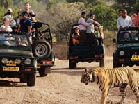 jodhpur-packages