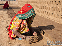 shekhawati packages